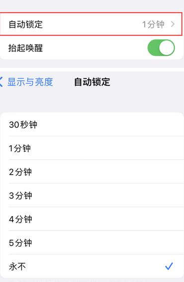 洛阳苹果换屏维修分享无法调整iPhone自动锁屏的时间怎么办